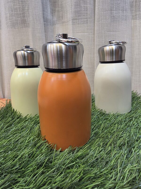 Hot & Cold Flask