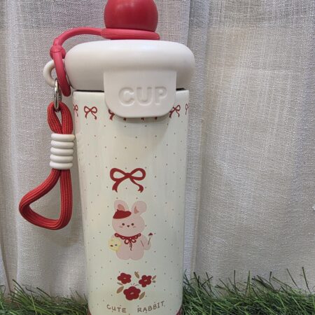 Aesthetic Pinteresty bottle Hot & Cold Insulated Water Bottle come Sipper 600Ml